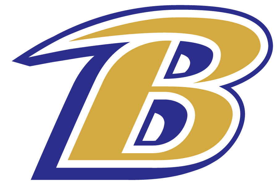Baltimore Ravens 1999-Pres Alternate Logo DIY iron on transfer (heat transfer)